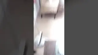Fidit