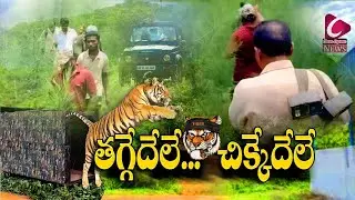 తగ్గేదేలే... చిక్కేదేలే  |Tiger operation  | Prathipadu Villagel | CE news