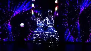 Light Butterflies led show 5 artists