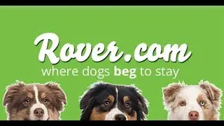 Rover.com 1 year Review: Tips Tricks And Secrets To Success!