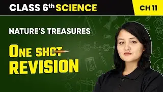 Nature's Treasures - One Shot Revision | Class 6 Science Chapter 11 | CBSE 2025-26