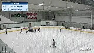 3rd Period vs Humber Valley Sharks on Jan. 12th
