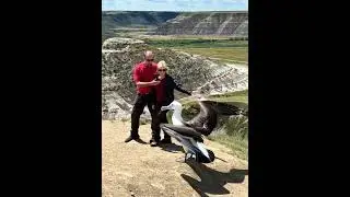 Those annoying desert albatross photo bombers