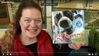 Underwater Dogs