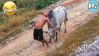 VIDEOS DE RISA 😂 SI TE RÍES PIERDES NIVEL DIOS #43 😆 HUMOR VIRAL MEXICANO🤣
