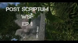 Post Scriptum- Wins, stupidity and fails. EP1