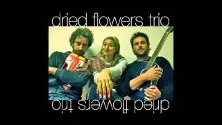 Dried Flowers Trio - Labyrinth