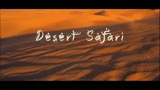 Desert Safari Dubai | UAE  #MDxES
