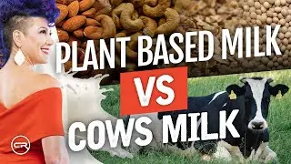 Plant Based Milks Vs Cow's Milk (Is One Really Better Than The Other?)