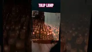 Tulip night lamp #unboxingworld #tuliplamp #lamp #nightlamps #unboxingworld #meesho #meeshofinds