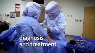 HCHC Orthopedics