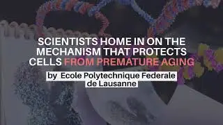 SCIENTISTS HOME IN ON THE MECHANISM THAT PROTECTS CELLS FROM PREMATURE AGING
