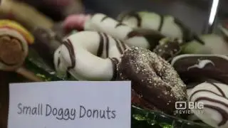 Dog Diversity, a Dog Grooming School and Pet Shop in Seddon Melbourne