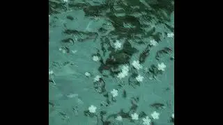 chill summrs type beat 