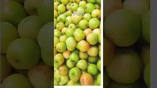Plum fruit Bengali name