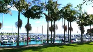 Pine Harbour Marina New Zealand