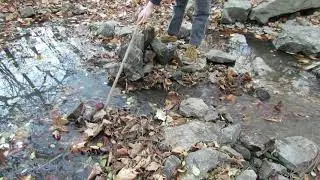 Releasing Blocked Creek Water