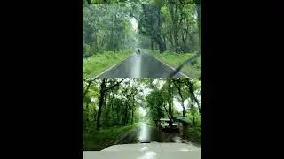 #northbengal #forest #duars #chilapata