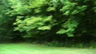 Newtown Battlefield Park, Elmira NY: Baseball field section investigation.