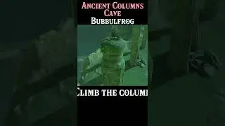 Where To Find Ancient Columns Cave Bubbulfrog | #Zelda Tears of the Kingdom #totk