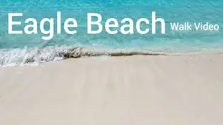Eagle Beach 🏖 Fofoti Tree area and low rise hotels walk