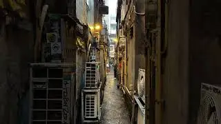 Getting lost in the 200+ small bars/izakayas in Golden Gai Shinjuku. #goldengai #tokyo #izakaya