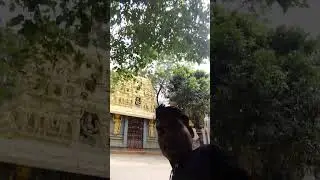 🙏👍😭😎😀😂
