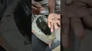 ఏక మూలికా రస మైనము  ekamulika rasa mainamu