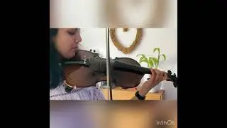 Beautiful Antique 20th Century European David Techler One Piece 4/4 Violin Sound Sample