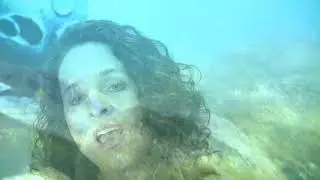 Stephanie K. - Honu