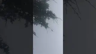 Beech 76 Duchess flyover