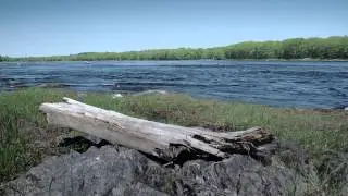 Thoreau-Wabanaki Trail: Trust and Respect for the Chief