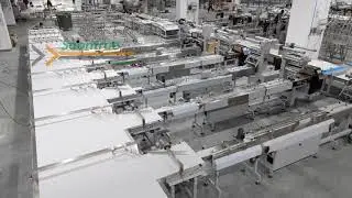 One-to-Six Automatic Flow Packing Line | 1 Feeding System, 6 Packaging Machines