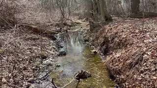 Long Island Greenbelt Trail In A Day!