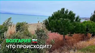 Жизнь в Болгарии и свежие  новости...