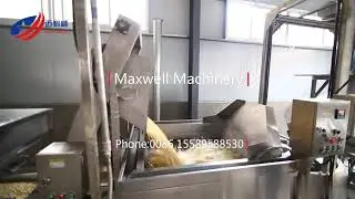 Full Automatic Spicing Peanut Processing Machine Production Line