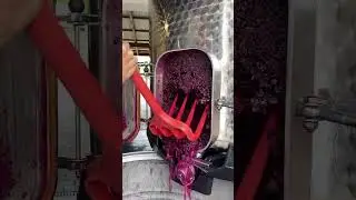 Unlock the secret to rich color and bold flavor: the power of skin fermentation 🍇