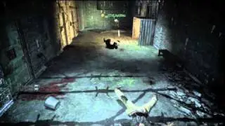 Black Ops - Cool Hand Luke - S&D Minitage feat. JayUNnu