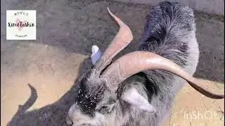 Zoológico de León  2 