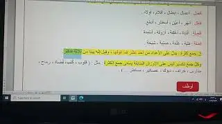 جموع النكسير القلة والكثرة للصف الحادي عشر المنهاج الجديد جيل 2008