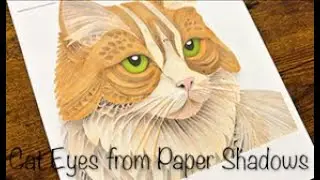 Cat Eyes from Paper Shadows, Coloring Book by Evelyn Dockside