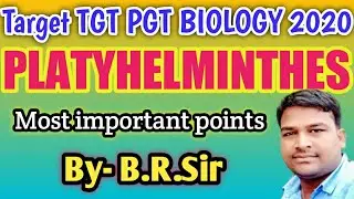 Phylum Platyhelminthes most important points || General characters || Uptgt pgt biology online class