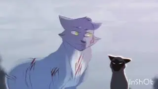 warrior cats animash-TEETH