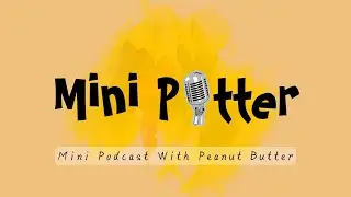 MINI POTTER  T E A S E R