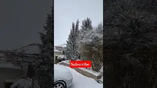 Peaceful Snowfall ❄️ | Long Relaxing Winter Nature Video #nature #beautiful #shortvideo #youtubeshor