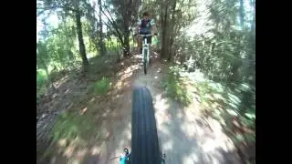 SPIDER BERM SHRED