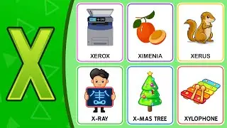 📄 X for Xerox 🍒 X for Ximenia 🐿️ X for Xerus 🎄 X-mass Tree 🎶 Xylophone | Flashcards | Popit Drawing