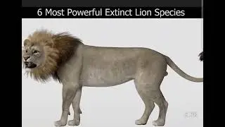 6 most  powerful extinct lions.