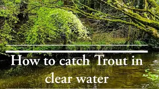 How to catch Trout in clear water