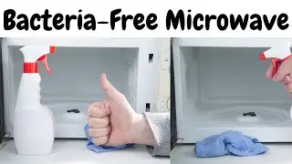 How Can You Keep Your Microwave Bacteria-Free?